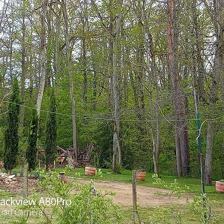 Holiday home La Sablonniere De